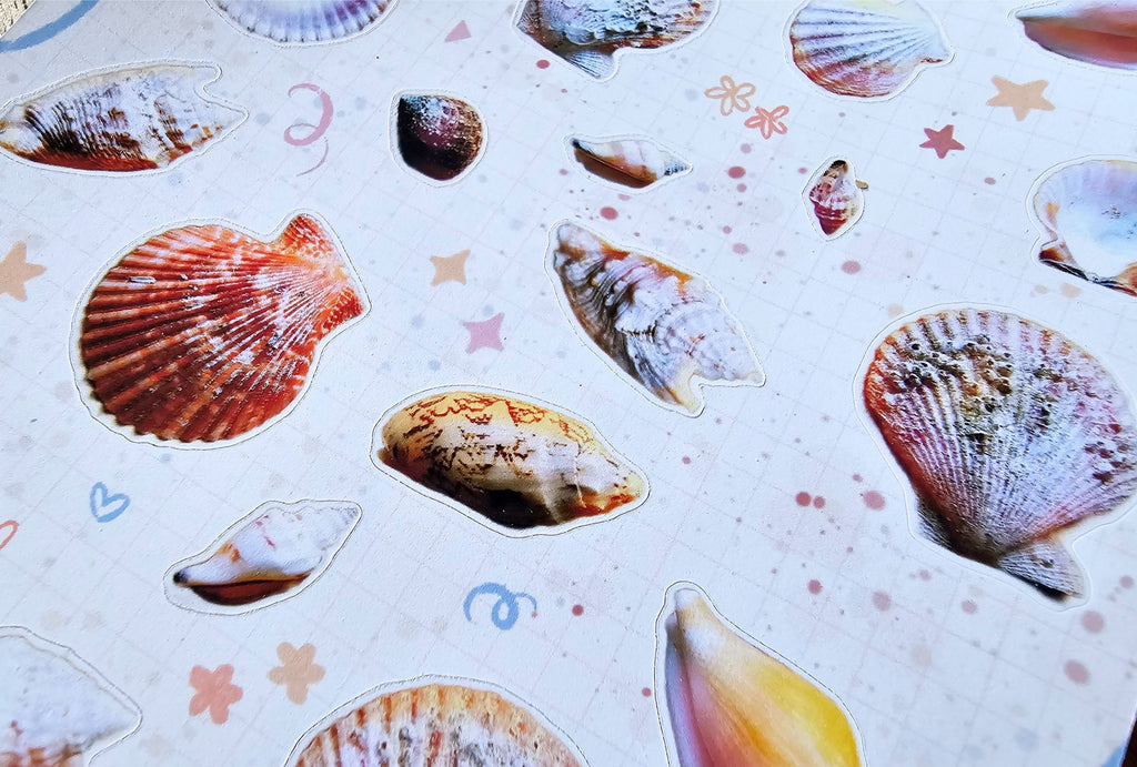 A close-up of a sticker sheet featuring various realistic seashell and scallop cutouts on a light pink background decorated with small pastel star and swirl motifs.