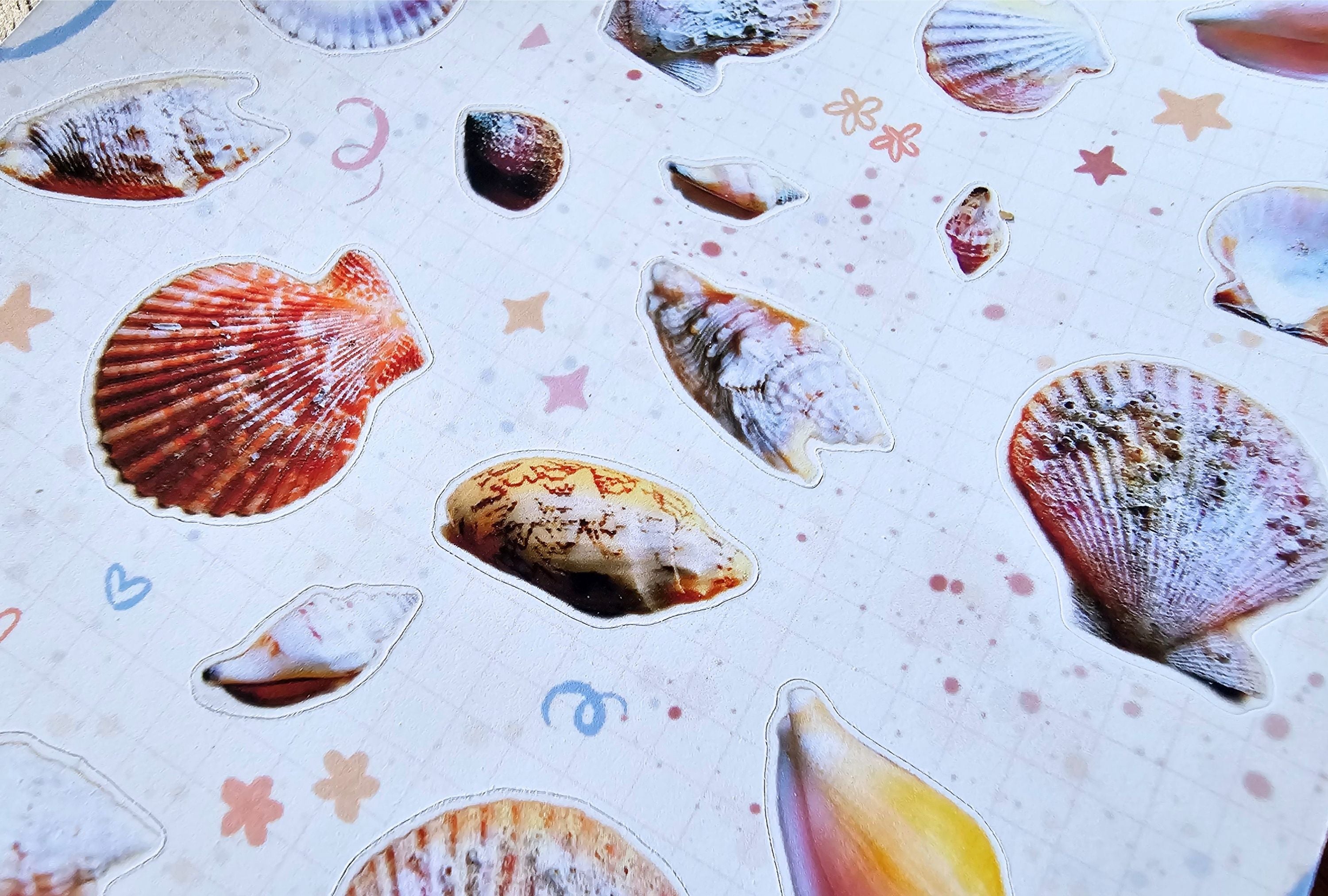 A close-up of a sticker sheet featuring various realistic seashell and scallop cutouts on a light pink background decorated with small pastel star and swirl motifs.