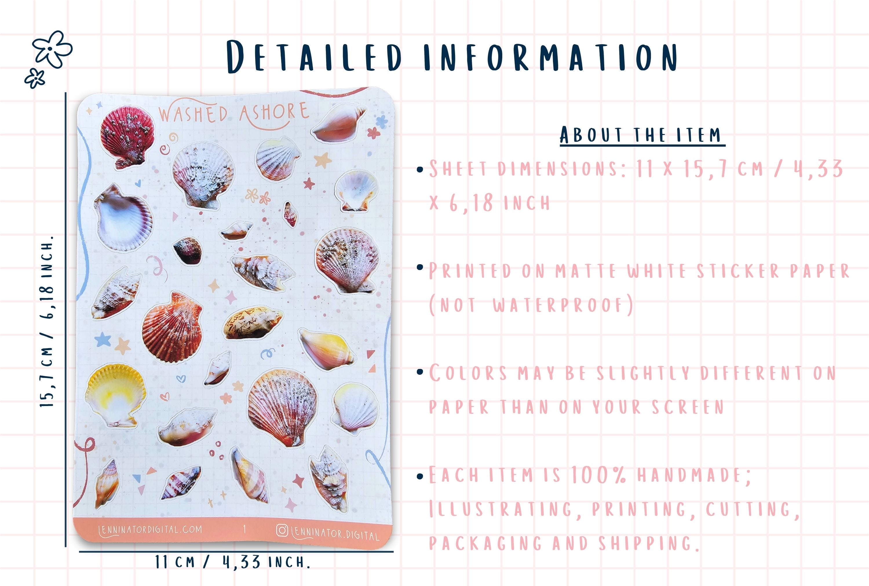 A product information graphic for a sheet of seashell-themed stickers. The left side shows a rectangular sheet of white matte sticker paper with various colorful seashell illustrations, labeled 'Washed Ashore' and marked as 11 x 15.